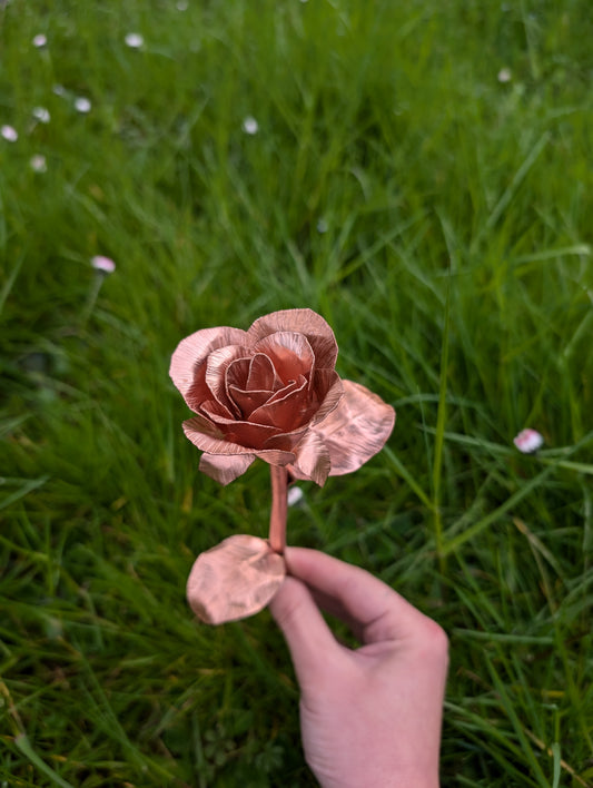 Copper rose